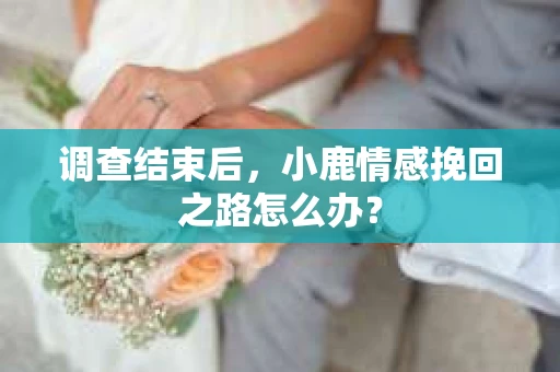 调查结束后，小鹿情感挽回之路怎么办？