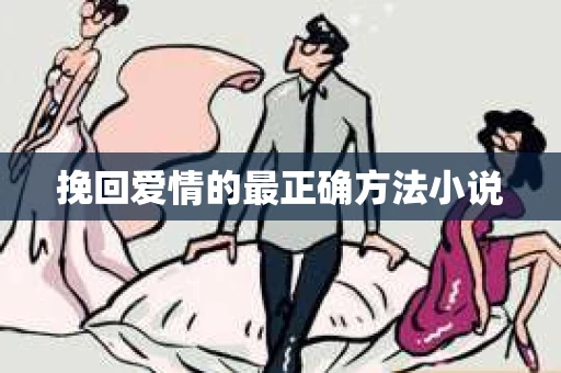 挽回爱情的最正确方法小说
