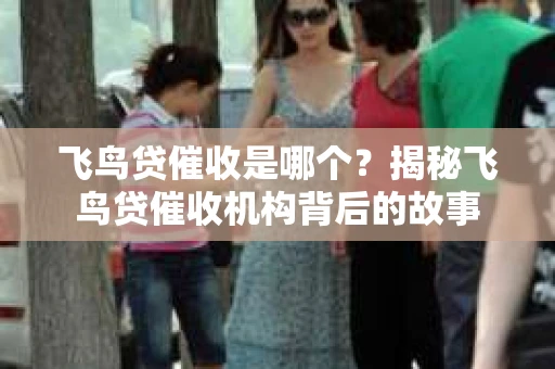 飞鸟贷催收是哪个？揭秘飞鸟贷催收机构背后的故事