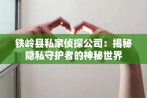 铁岭县私家侦探公司：揭秘隐私守护者的神秘世界