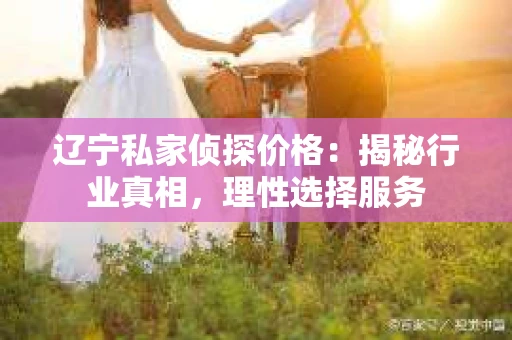 辽宁私家侦探价格：揭秘行业真相，理性选择服务