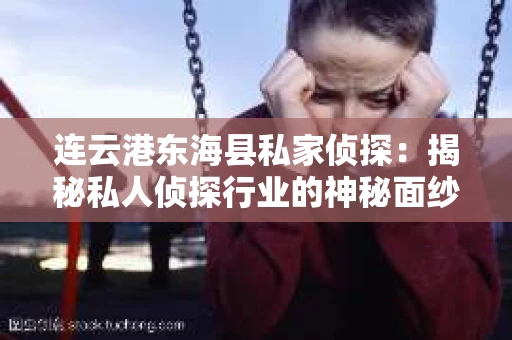 连云港东海县私家侦探：揭秘私人侦探行业的神秘面纱