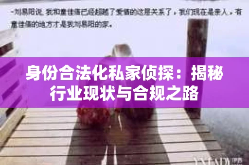 身份合法化私家侦探：揭秘行业现状与合规之路