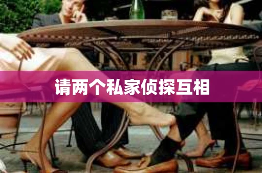 请两个私家侦探互相
