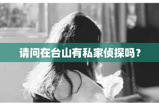 请问在台山有私家侦探吗？