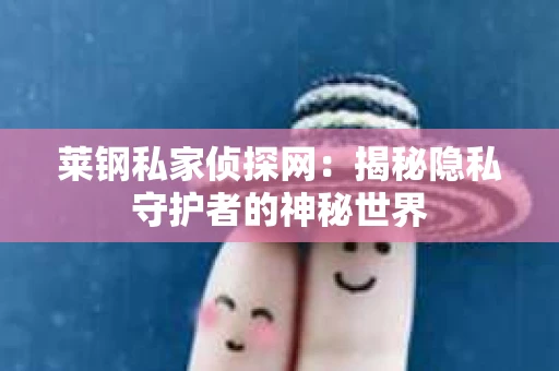 莱钢私家侦探网：揭秘隐私守护者的神秘世界