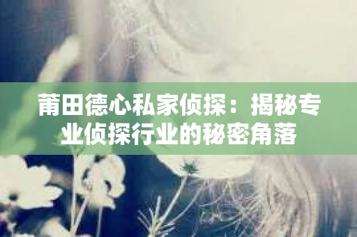 莆田德心私家侦探：揭秘专业侦探行业的秘密角落