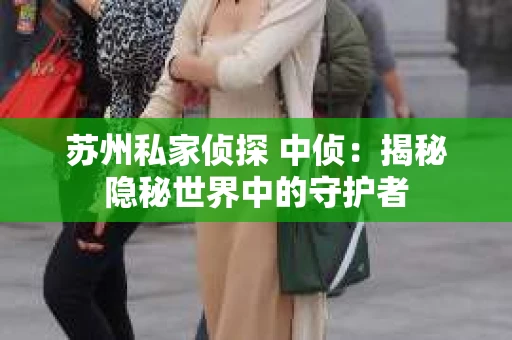 苏州私家侦探 中侦：揭秘隐秘世界中的守护者