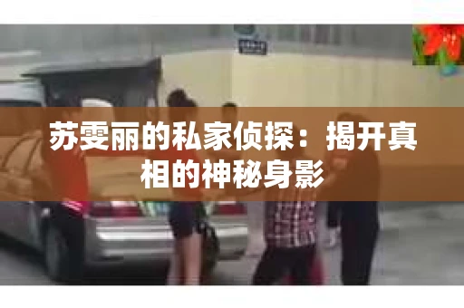 苏雯丽的私家侦探：揭开真相的神秘身影