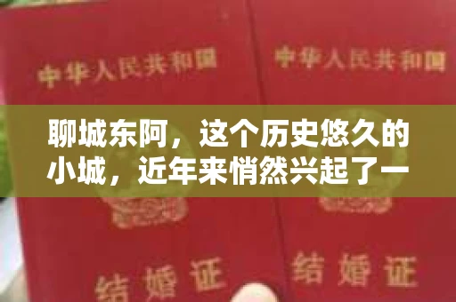聊城东阿，这个历史悠久的小城，近年来悄然兴起了一股新的服务潮流——私家侦探。今天，我们就来聊聊这个话题，看看在聊城东阿，私家侦探是如何成为人们生活中的一部分的。