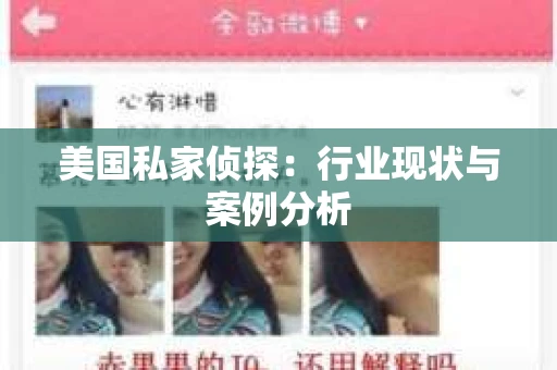 美国私家侦探：行业现状与案例分析